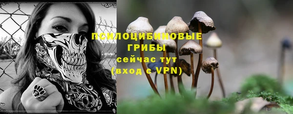 стафф Алексин