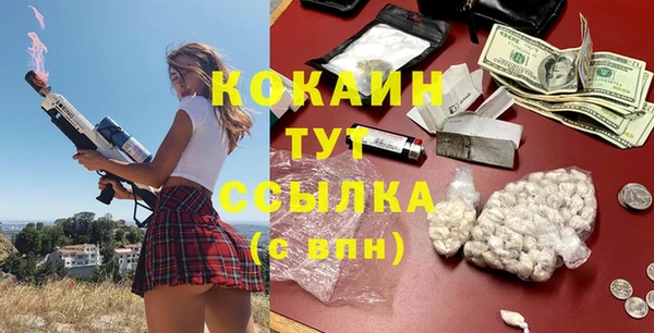МДПВ Алзамай