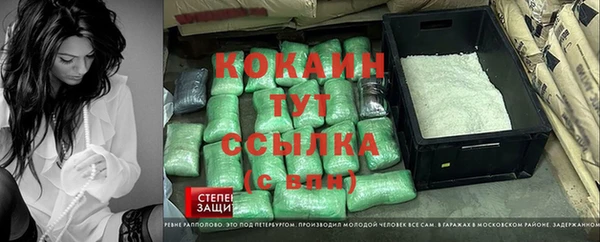 МДПВ Алзамай