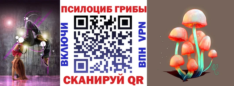 Псилоцибиновые грибы прущие грибы  даркнет какой сайт  Железногорск 